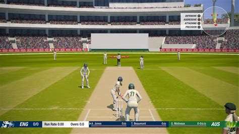 Cricket 24: Symulator zrealizowany w nieziemskim stylu!